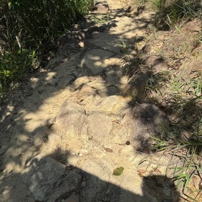 wcching1110's profile picture. that’s that me depresso