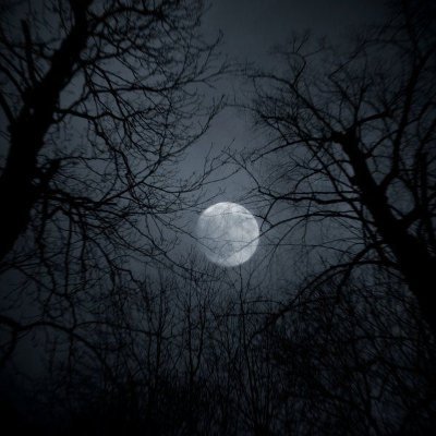 VoIteyyy's profile picture. Blade to your head