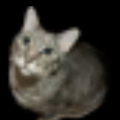 crackrjack__'s profile picture. 