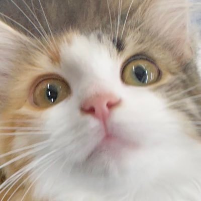 Lily_11rf_'s profile picture. 自分らしさを追求/あの子になりたくて頑張ったけど自分らしさが無くなったのでありのままの私で大好きな美容と日常で感じた事も記録していきます🎗️