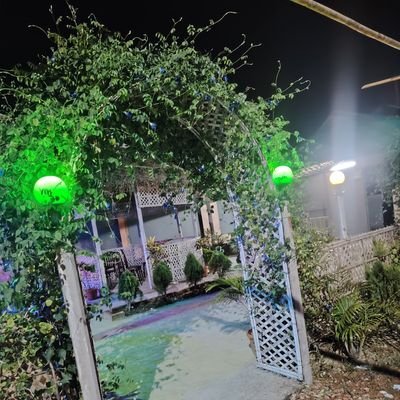 MdSanau69210126's profile picture. 