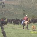 Brad Sears - @searsbrad - Twitter