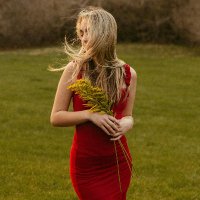 Jennifer J. Hughes (@hughesj53487) 's Twitter Profile