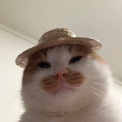 janellecasera's profile picture. 032