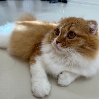 XjCVXpESun86002's profile picture. 