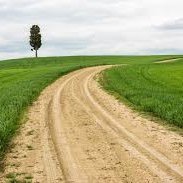 AlbaVendrell3's profile picture. 