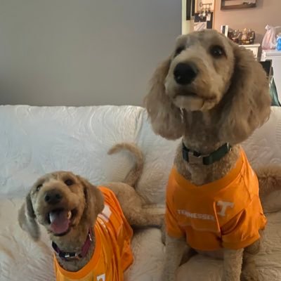 esf1222's profile picture. 