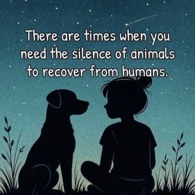 Julie9063136570's profile picture. 🏴󠁧󠁢󠁥󠁮󠁧󠁿🏴󠁧󠁢󠁳󠁣󠁴󠁿🏴󠁧󠁢󠁷󠁬󠁳󠁿🇮🇪🇬🇧