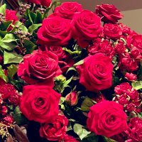 エレガン子🌹 (@kinkin_puririn) 's Twitter Profile Photo