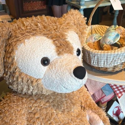 もちまるさんのプロフィール画像