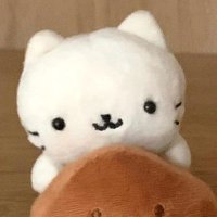2조 (@jjo2ii) 's Twitter Profile Photo