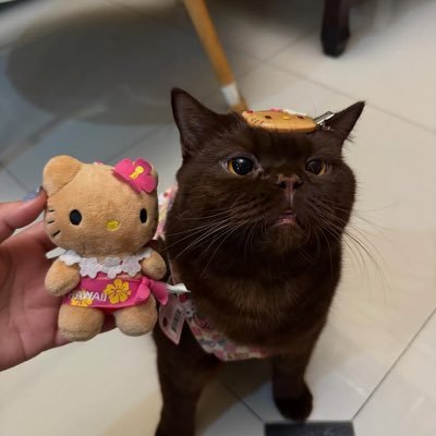 ouidaage's profile picture. 