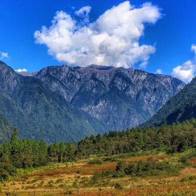 Anupam4592's profile picture. Nature,sports, photography,tech lover and friendly nature