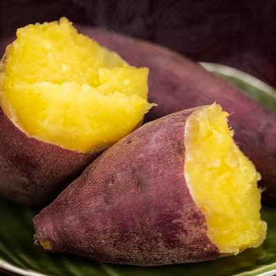 NIKKEKOPA's profile picture. 雑アカ
NIKKE
学マス
鳴潮
PS5

一級建築施工管理技士
MBTI性格診断はISFP

良いものは良い ダメなものはダメってハッキリ言うので苦手な人はフォロー解除お願いしますねー！