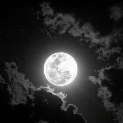 El7anafy_'s profile picture. 