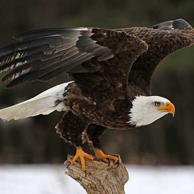 Ripple666666's profile picture. Easy Going Guy who just loves everything about the human body... 43yrs old and looking for a nice woman. No one under 18 old!!!