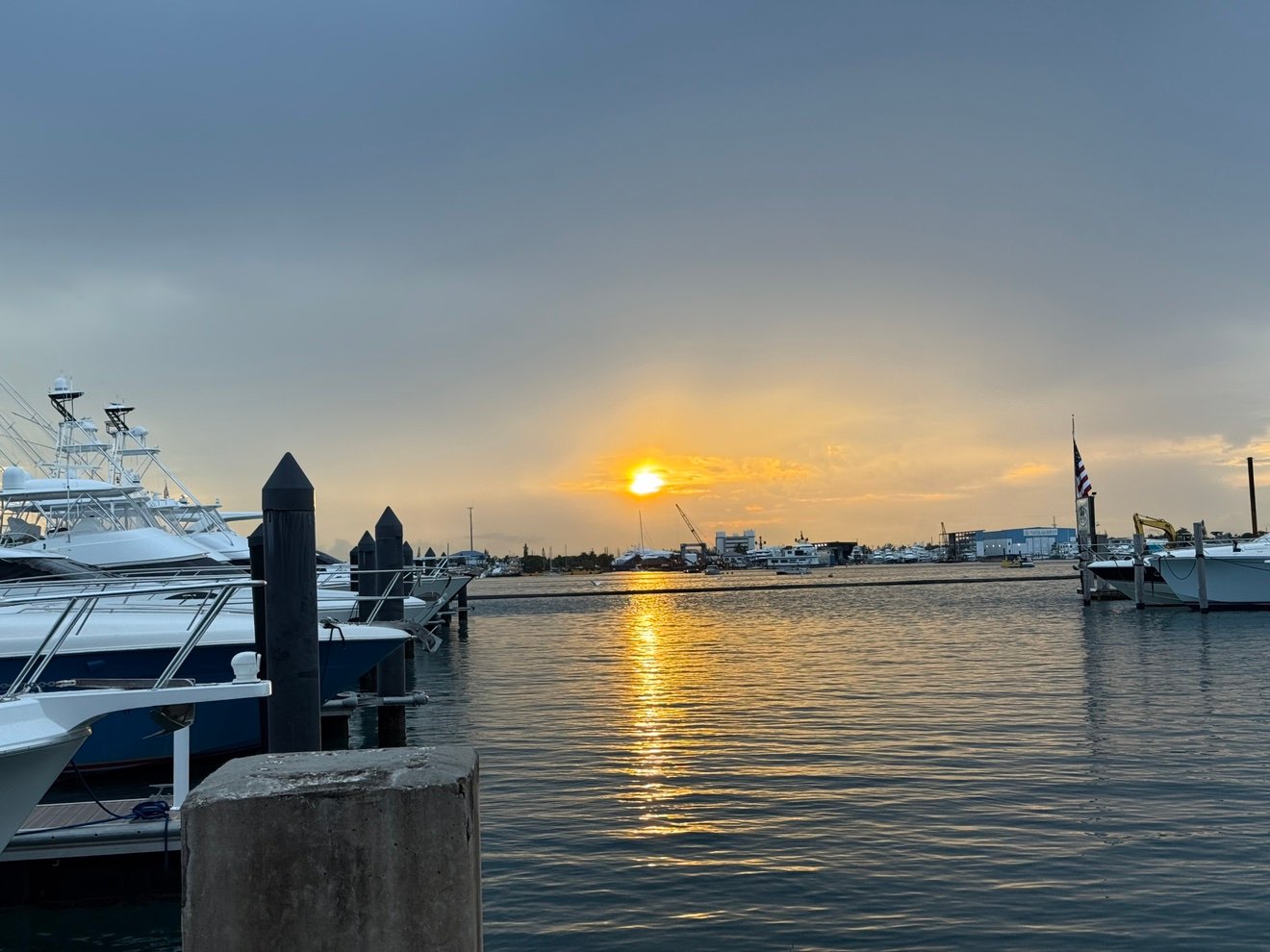 MichaelMolxrx's profile picture. 