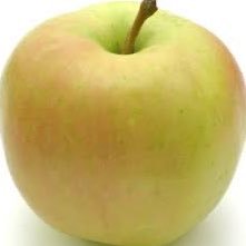 AFKアリーナ用→2024.8.5引退し雑多垢へ。BlueApple🍏元5代目ギルマスみんなありがとうございました✨AFKジャーニーゆる復帰