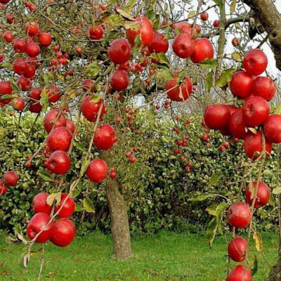 VanmaliKus82954's profile picture. 