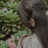 Amelia (@wanko10261026) 's Twitter Profile
