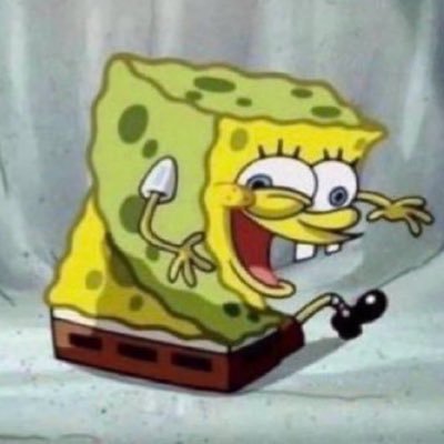 nwordcingle's profile picture. Des vélos en l’air…