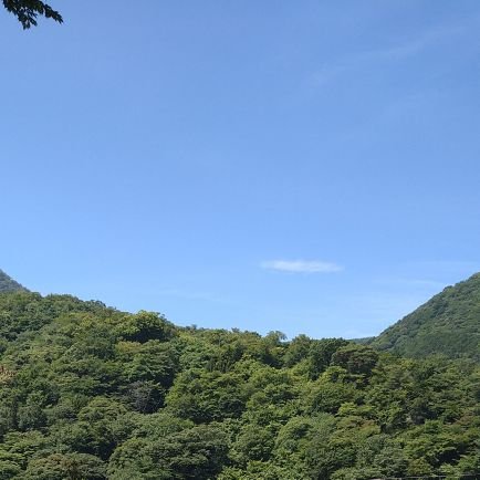 あんころ餅さんのプロフィール画像