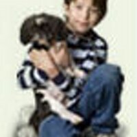 Find A Vet (@findavet) 's Twitter Profile