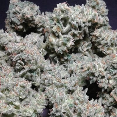medical marijuana and products online for the relief and treat of condition(s) such as PTSD, Anxiety, depression, Chronic pain, Glaucoma, ADD and ADHD, Epilepsy