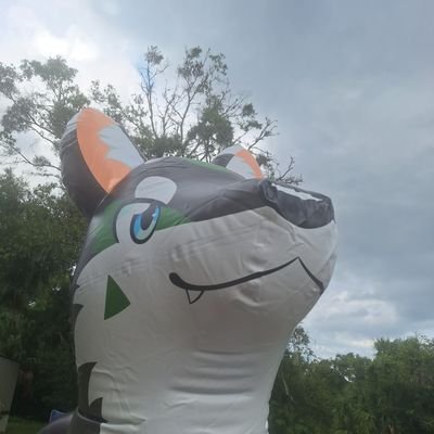 straight single guy likes cars,inflatables,anime likes to have fun