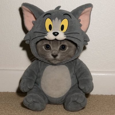 omarzaher98's profile picture. 
