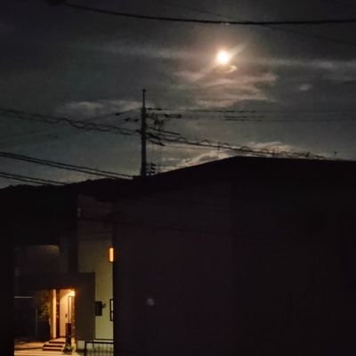 xxgomiyaro1's profile picture. 完全に趣味垢。