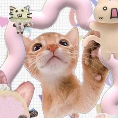 alizunok's profile picture. 