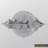 TURU_UGO_LOTA🦅 avatar