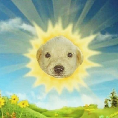 faztits's profile picture. i am hungry all the time