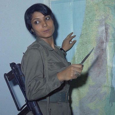 palestinaa13's profile picture. 