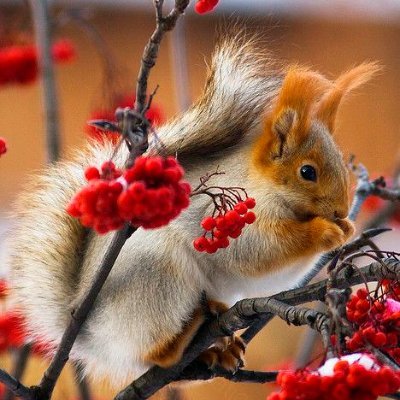 DougcsBarton's profile picture. The word 'happiness' would lose its meaning if it were not balanced by sadness.