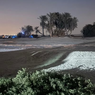 Rocinantemoons's profile picture. No Bio