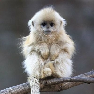 hoezarugahoeru's profile picture. 20↑┊無言フォロー失礼いたします🙇‍♀️┊閲覧用です┊朶 kk ikd