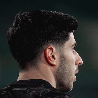 theasensioone Profile Picture