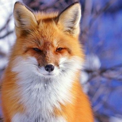 Aresvdelton's profile picture. You keep forgiving the ones you love until you hate them