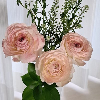 gjmprily0103's profile picture. RILYSです💕🥀