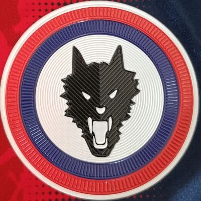 fan token dedicated to Campobasso FC. This wouldn't just be a simple digital asset, but a true symbol of belonging and passion for the team