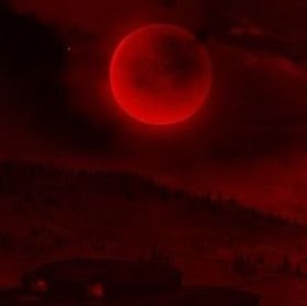 IvinyFeu's profile picture. 