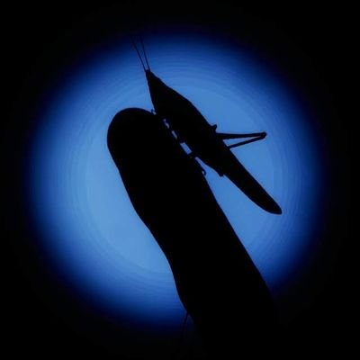 anushan_junior's profile picture. NEMOPHILIST
Agricultural & Forester
 जय जोहार जय सेवा