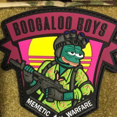 ReptoidSol's profile picture. #memecoins #cryptocurrency shill me your 100x gems