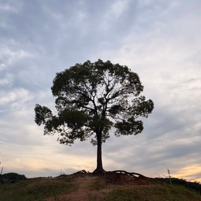 atamaitai_4989's profile picture. 男性です！名古屋で遊んでる毎日を更新します。とても真面目な人です。冷やかししない委員会に勝手に入ってます笑　健全しかしない委員長です🫡