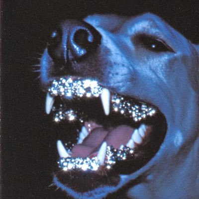 ENF3NITYYALT's profile picture. CRYTPO 🍯 *not financial advice*