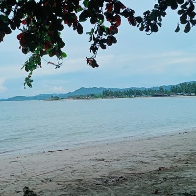 MiekaiP15857's profile picture. 