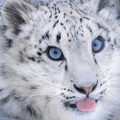 what_ever_772's profile picture. 팔로우X 덕질용 계정입니다.