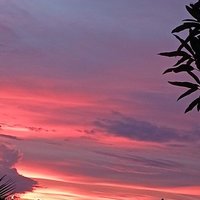 AZaylum (@az_aylum) 's Twitter Profile